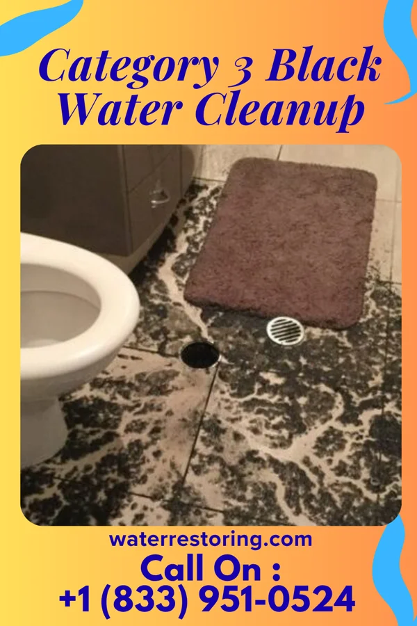 Category 3 Black Water Cleanup in Oakes, ND