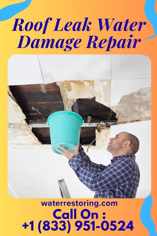 Roof Leak Water Damage Repair in Oakes, ND